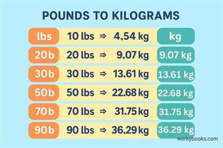 220 Pounds to Kilo: The Ultimate Conversion Guide