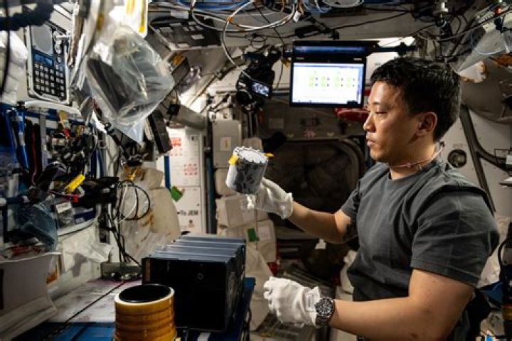 African American Astrophysicist: Breaking Barriers in Space Science