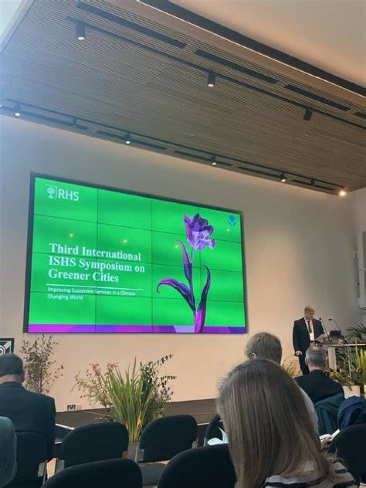 Aimee Nash: Designing Greener Cities and Stronger Communities Today
