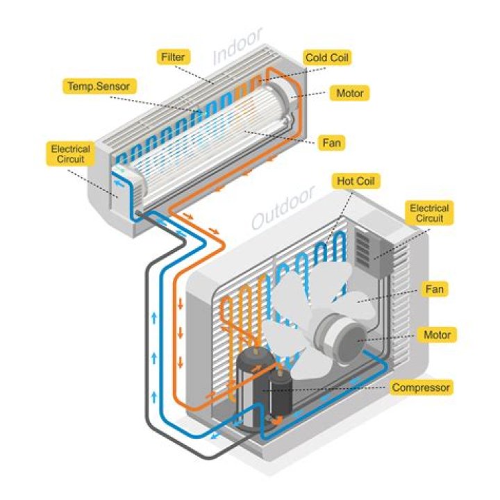 Aria Lee Gif: Finding That Perfect Animated Moment