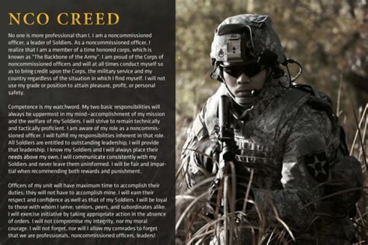 Army Non-Commissioned Officer Creed: The Backbone of Military Leadership