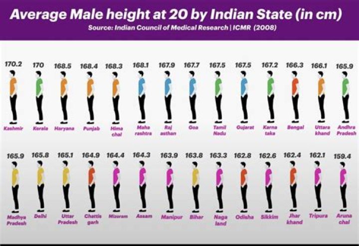 Average Height for Ladies: Understanding the Global Standards and Factors Influencing It