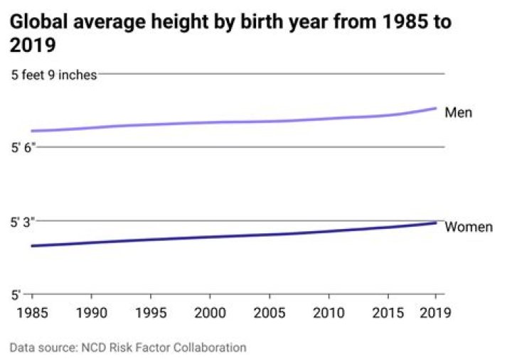 Average Women Height: A Comprehensive Guide to Understanding Global Trends