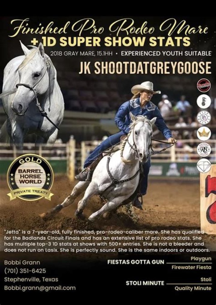 Barrel Racing: Unleashing the Thrill of Barrelhorseworld