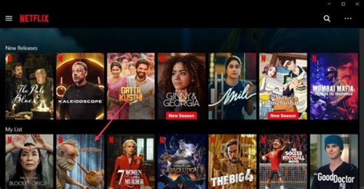 Bollyflix Downloads: Can You Download Movies? + Alternatives