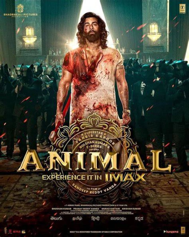 Bollyflix Memes: Unveiling the Trend & Warning Signs | Your Guide