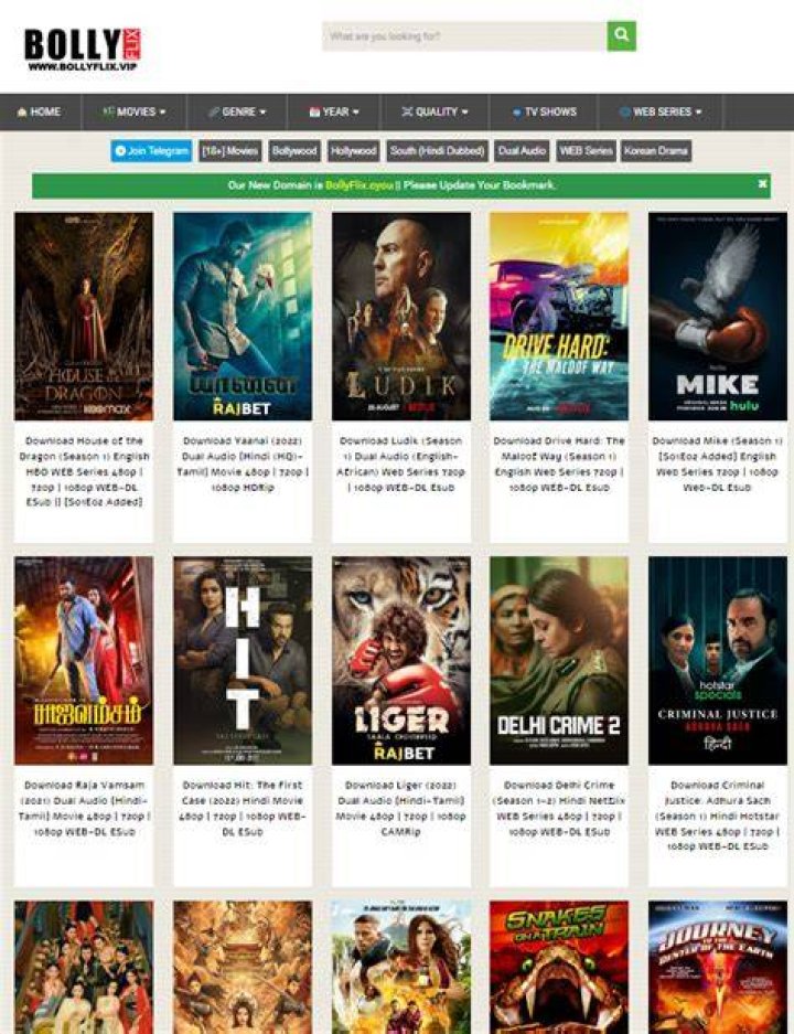 Bollyflix & Movie Streaming: What You Need to Know