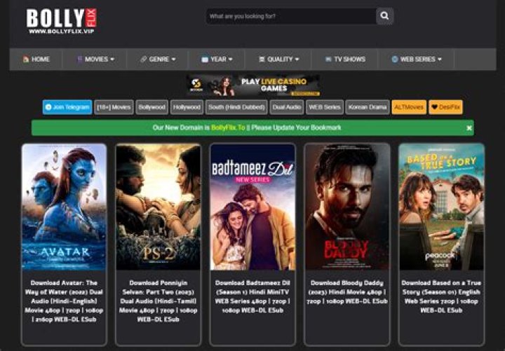 Bollyflix Ninja: Your Guide to Bollywood Movies & More!