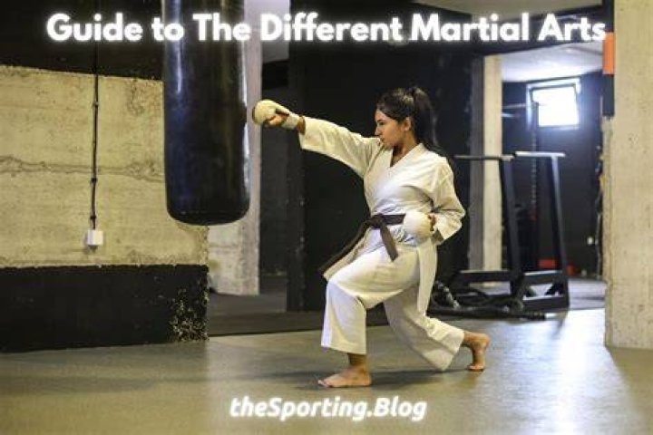 Bolo Yeung: The Enduring Presence of a Martial Arts Icon