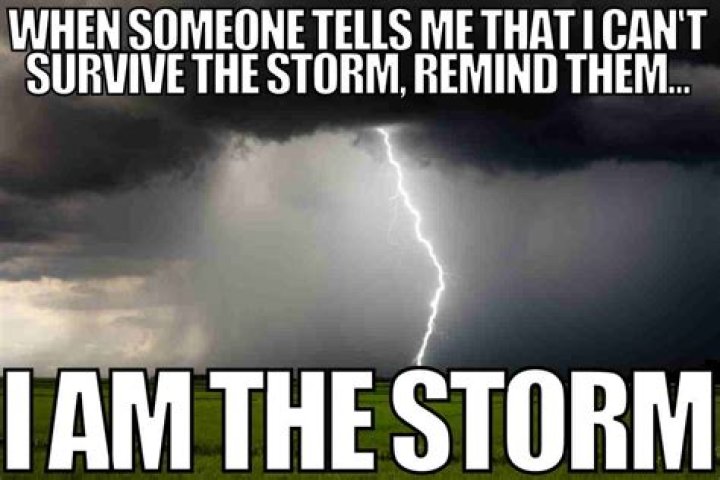 Bruceomers: The Phenomenon That's Taking the World by Storm