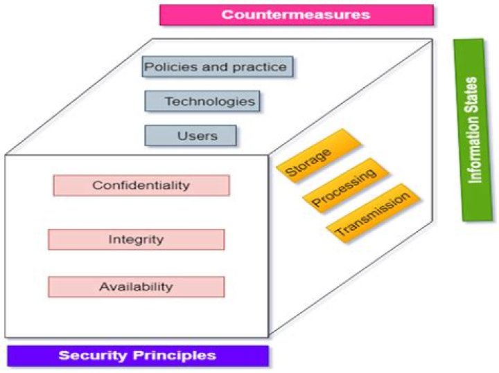 Camilla Araujo Nude: A Comprehensive Analysis of Misinformation, Privacy, and Digital Ethics