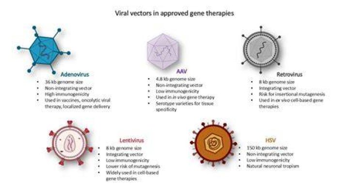 Capturing the Next Wave: What is Viral Sotwe and How It Spreads