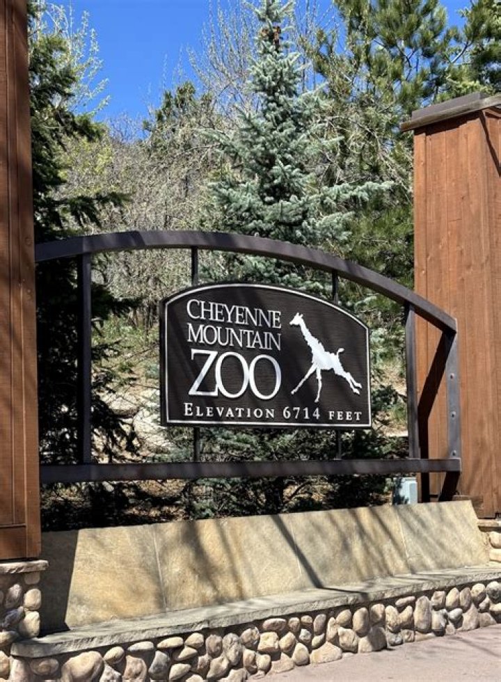 Cheyenne Mountain Zoo Discount Tickets: Your Ultimate Guide to Savings