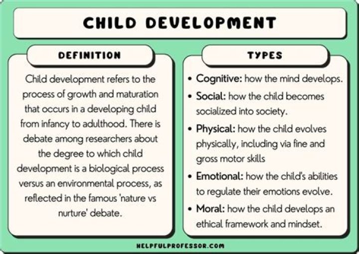 Children's Lives: Understanding the Key Aspects of Their Growth and Development