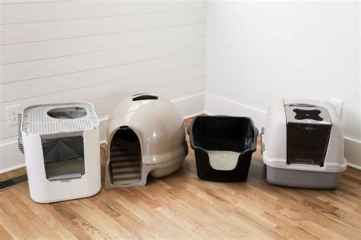Choosing the Perfect Litter Boxes for Cats: A Comprehensive Guide