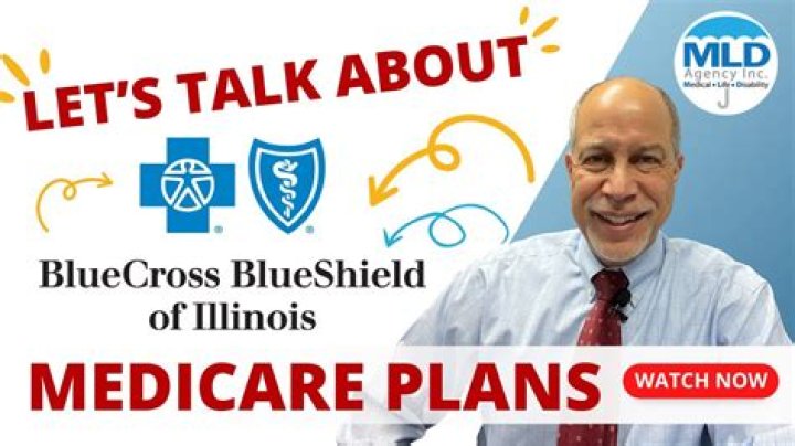 Comprehensive Guide to Blue Cross Blue Shield: Everything You Need to Know