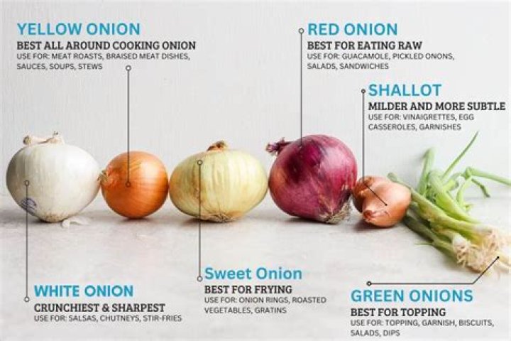 Copper Onion: The Ultimate Guide to Benefits, Uses, and More