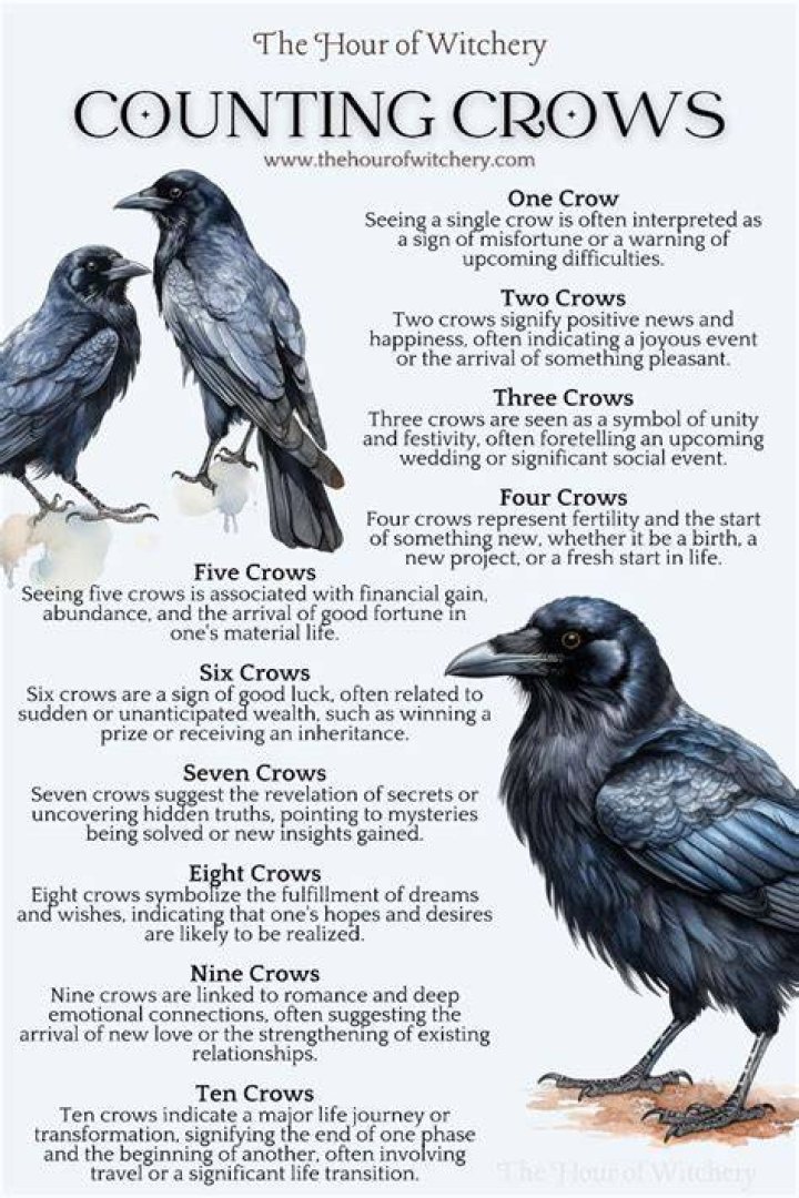Counting Crows: A Comprehensive Guide to the Iconic Rock Band