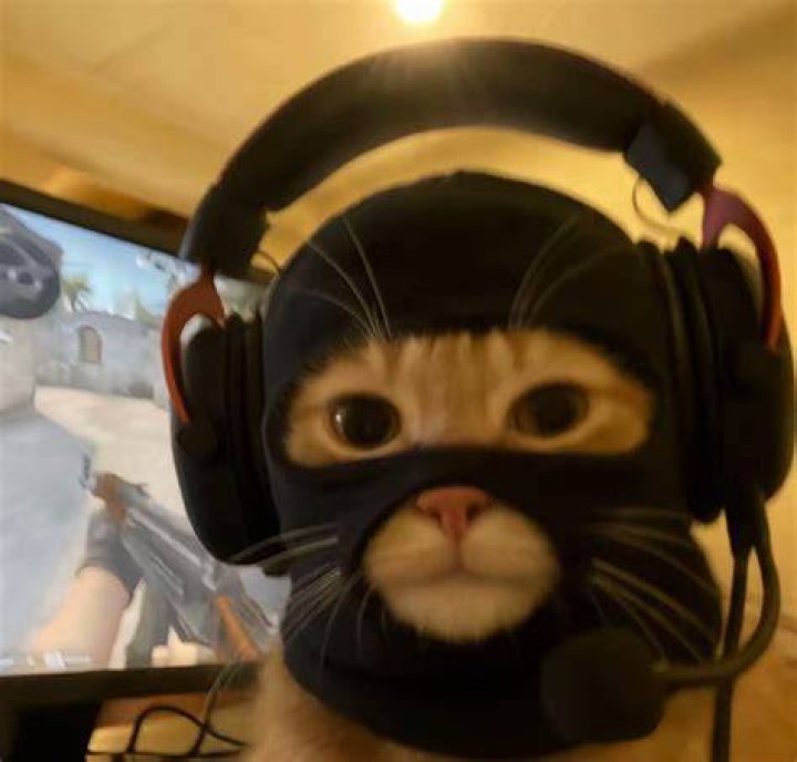 CSGO Gaming: Old Person Exploring the Journey of Ageless Gamers