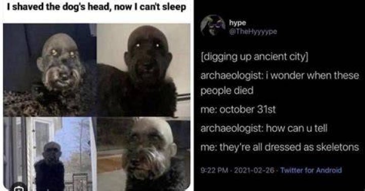 Cursed Memes: Unveiling the Dark Humor of www.cursed-memes.com