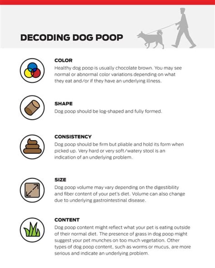 Decoding "MMM": Meanings & Uses Explained (Plus More!)