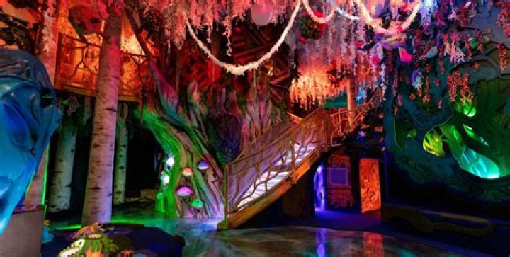 Discover the Magic of Meow Wolf Denver: An Immersive Art Adventure