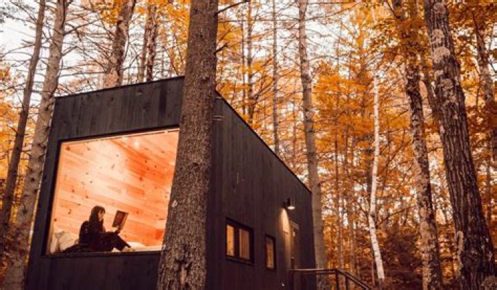 Discover the Magic of Starved Rock Cabins: Your Ultimate Guide to Nature and Comfort