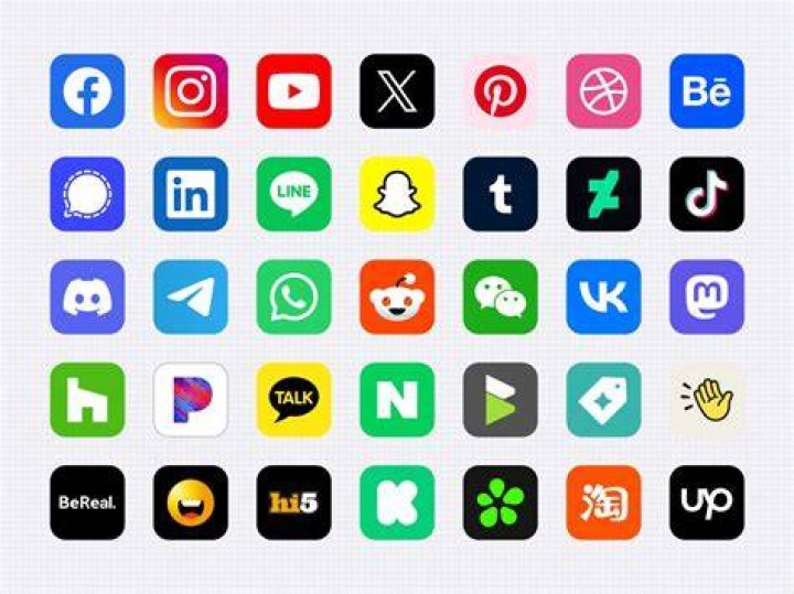 Discover Who Truly followsback: Your Safe Guide to Social Connections