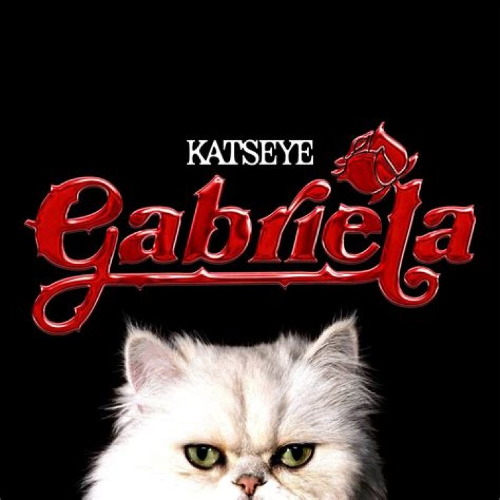 Discovering Gabriela Andrada: A Rising Voice with Katseye's Latest Hit