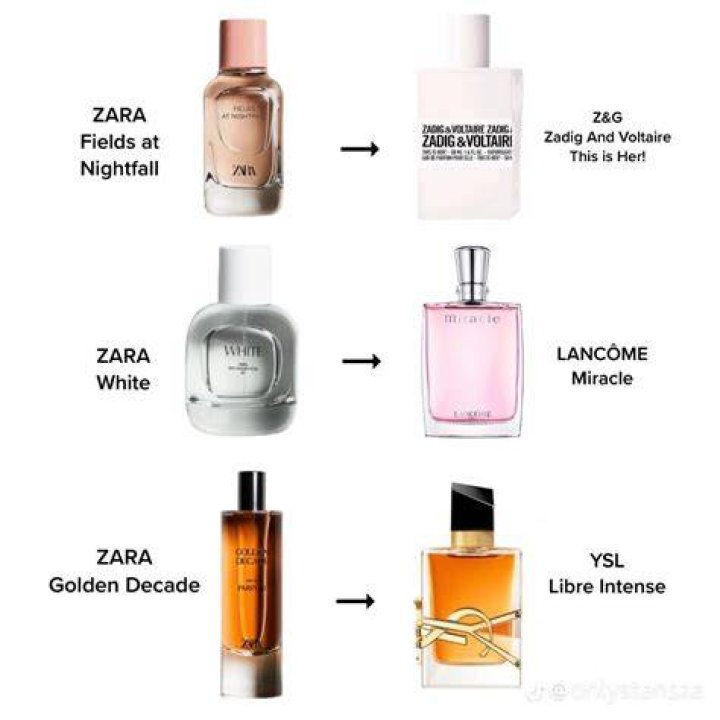 Discovering the Charm of Zara Rose Nude: Your Ultimate Guide