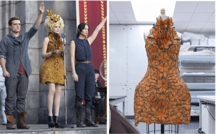 District 1 Hunger Games Outfits: A Fashionable Tribute to Luxury and Survival