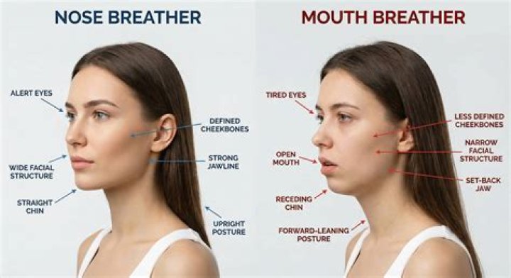 Does Mouth Breathing Affect Your Jawline? Understanding the Science Behind It