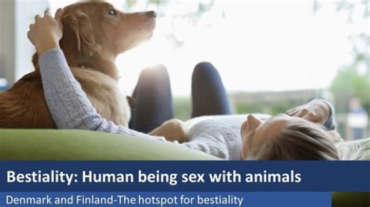 Dog Porn Alert! Latest Bestiality Videos & Content