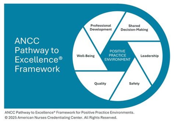 Elaine Chaos Education: A Journey to Excellence and Leadership