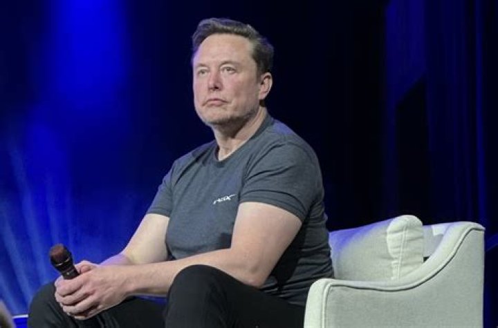 Elin Musk Wife: The Untold Story and Insights into Her Life