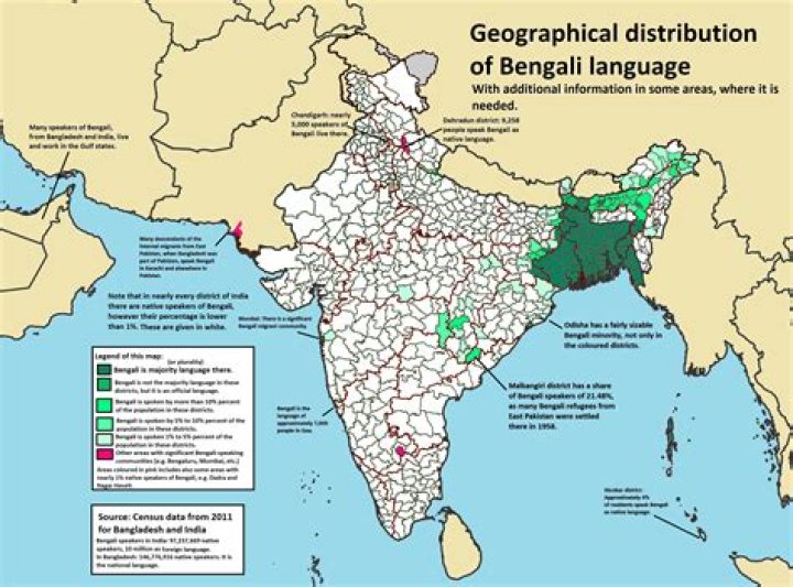 Exploring Bengali: A Language with a Deep Heart