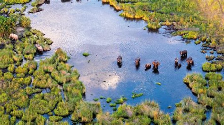 Exploring Mexzoo: A Guide to Mexico's Wildlife Havens Today