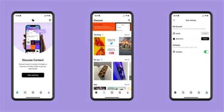 Exploring MyTweaks VIP: What You Should Know About Device Customization