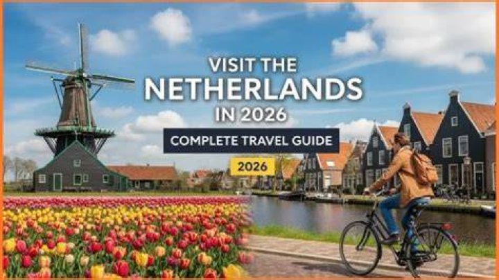 Exploring nl: Your Essential Guide to the Netherlands Today