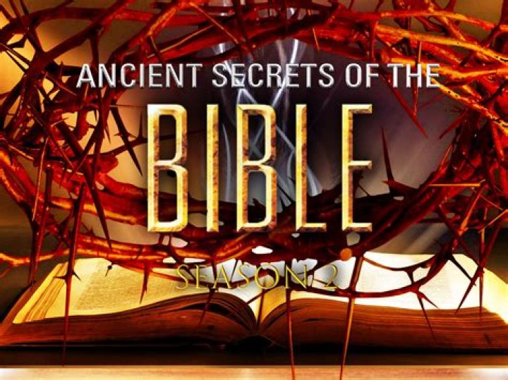Exploring the Ancient Secrets of Amber: A Deep Look with Amber Gryzbowski