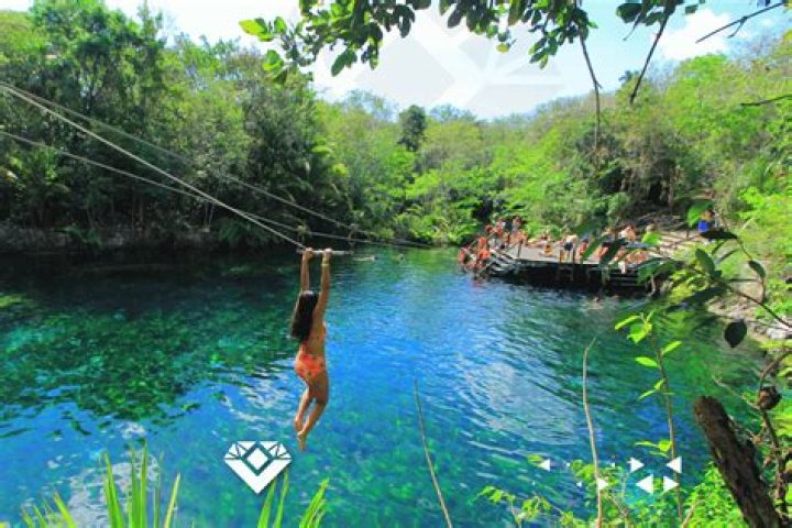 Exploring the Buck Without: A Journey Into Adventure and Culture