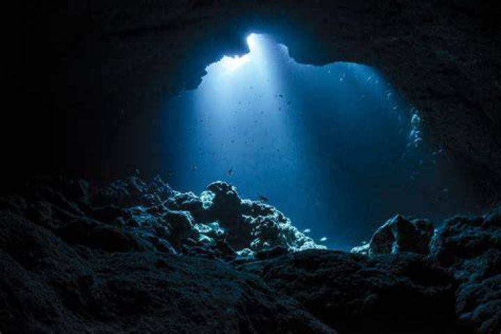 Exploring the Depths of Erome: Your Ultimate Guide