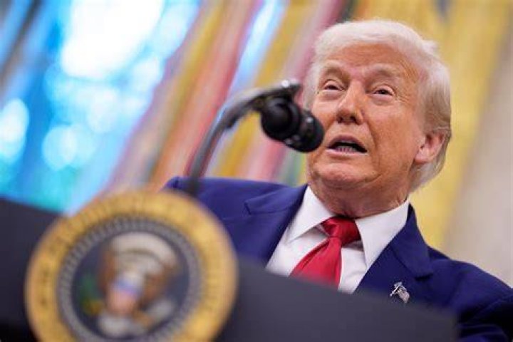 Exploring the Discussion Around Donald Trump's IQ and Public Persona
