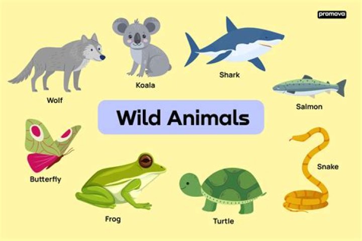Exploring the Fascinating World of Animals with Names Starting with 'E'