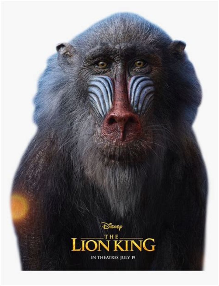 Exploring the Iconic Monkey from The Lion King: Rafiki's Role and Legacy