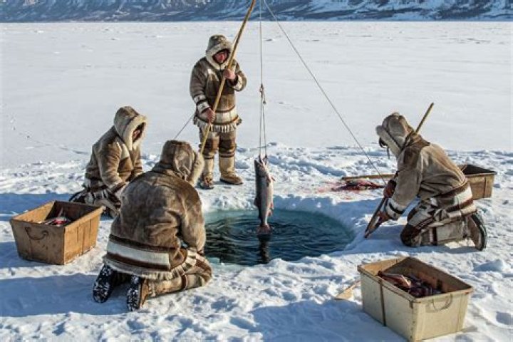 Exploring the Idea of an Eskimo Trebuchet: Fact, Fiction, and Ingenuity