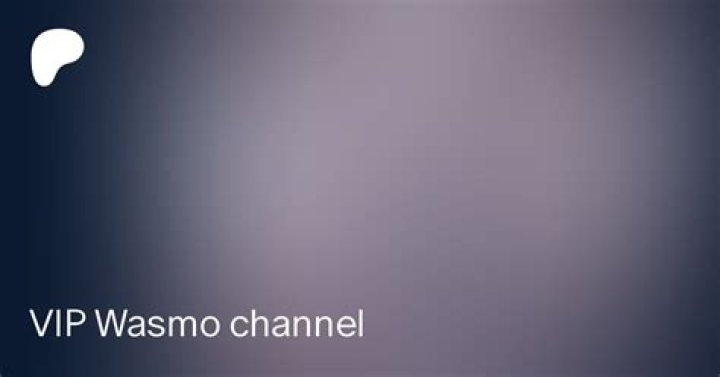 Exploring the Influence of the Wasmo Somali Channel Owner