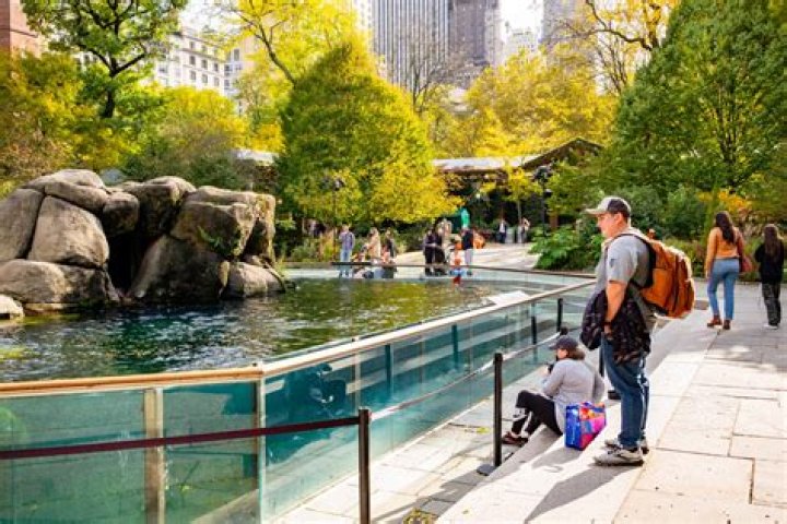 Exploring the Map of Central Park NYC: A Comprehensive Guide