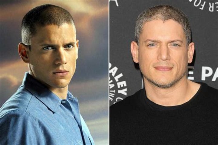 Exploring Wentworth Miller's Private World: Who is Wentworth Miller's Boyfriend?