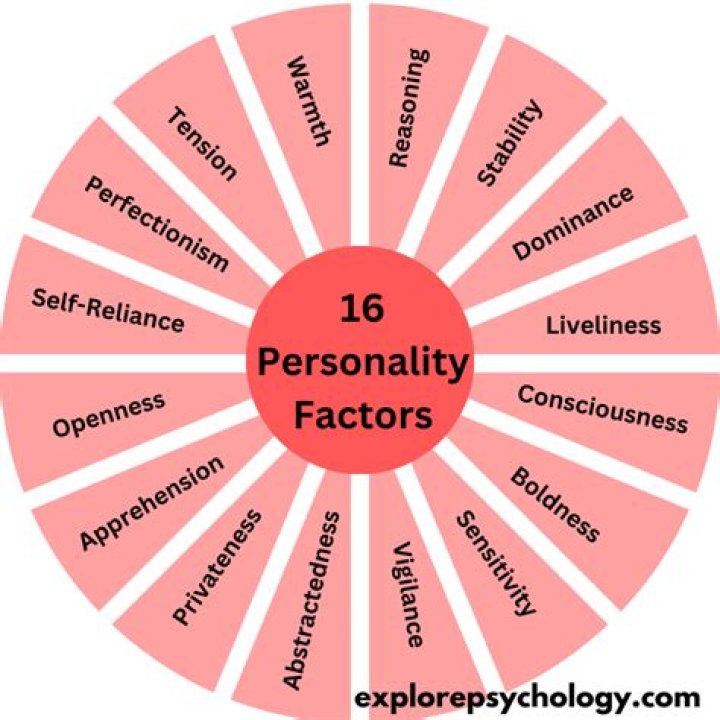 Exploring Yololary: A Digital Personality in Focus